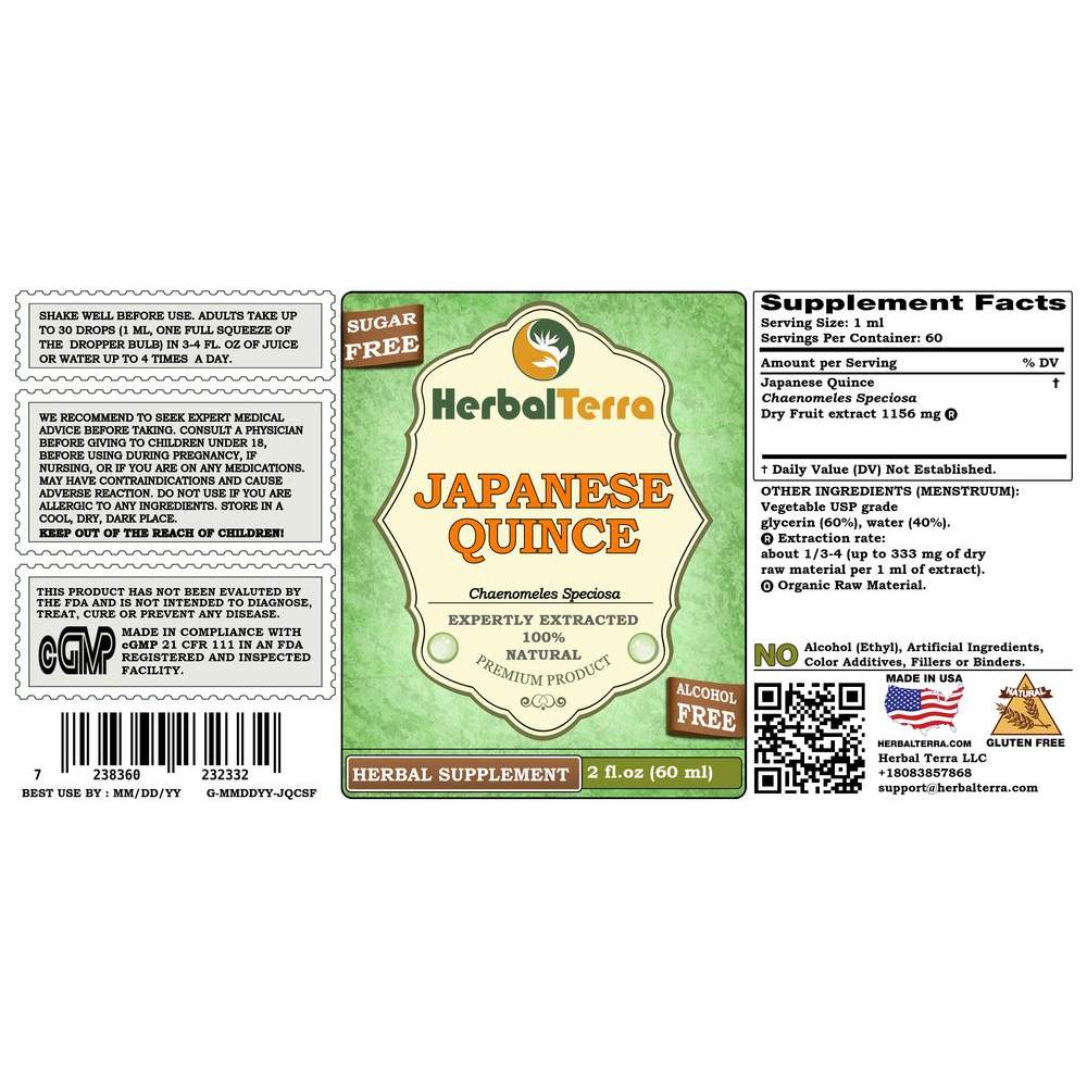 【返品不可】 Speciosa) (Chaenomeles Quince Japanese Dried Liquid fruit パーツ